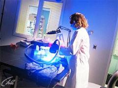 Тело как доказательство